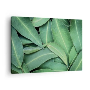 Canvastavla - Bild på duk - Närbild av gröna blad som skapar ett naturligt mönster - 70x50cm - Saftiga och fräscha - Modern väggdekoration för vardagsrum och sovrum ARTTOR