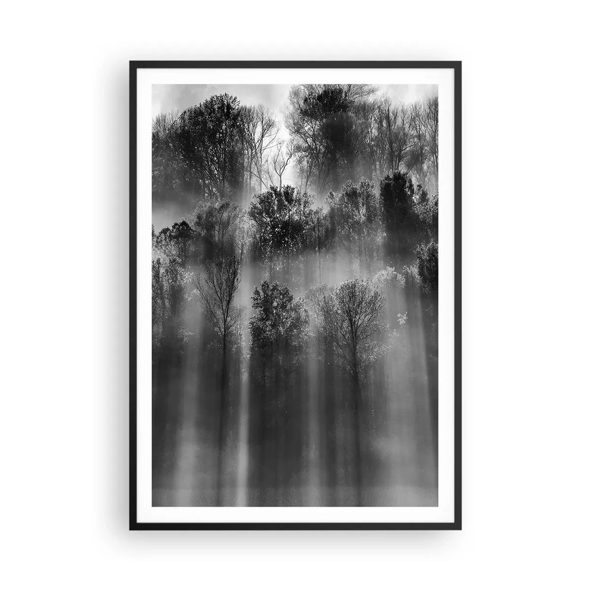 Affisch i svart ram - I ljusstrålar - 70x100 cm