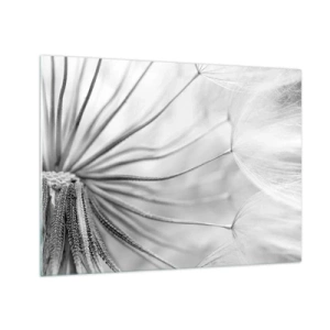 Glastavla - Bild på glas - Makrofotografi av en maskros i svartvita nyanser - 70x50cm - Blåsande, flygande drakar - Modern väggdekoration för vardagsrum och sovrum ARTTOR