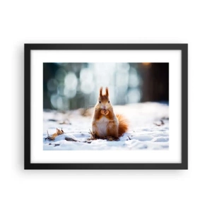 Affisch i svart ram - Vad glor du på? - 40x30 cm