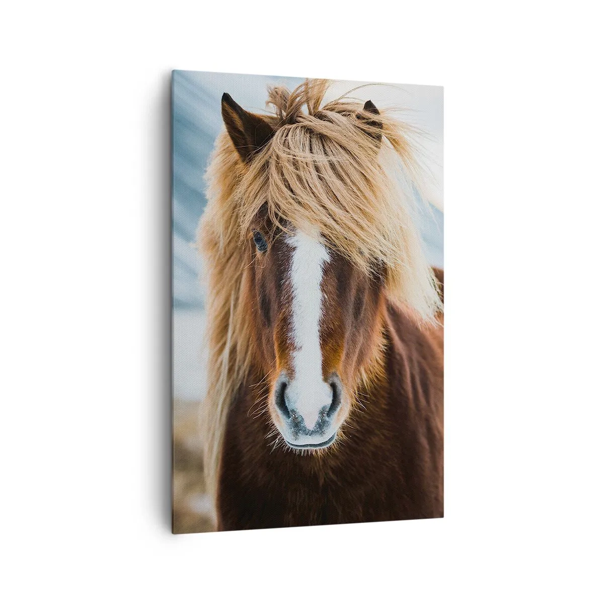 Canvastavla - Bild på duk - Känner du friheten? - 80x120 cm