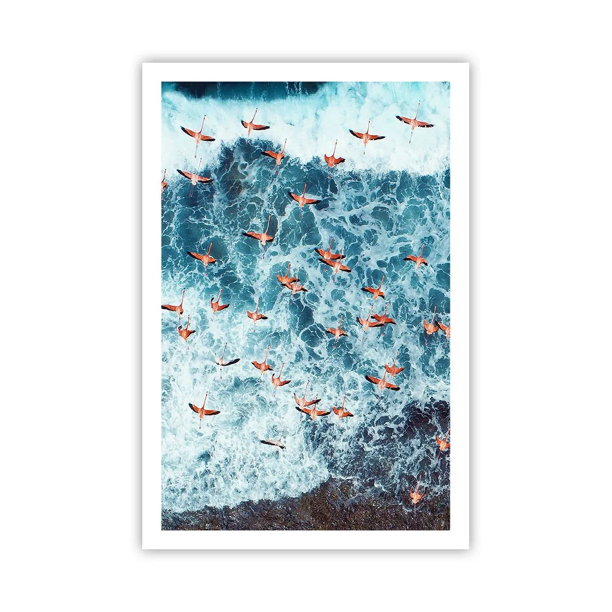 Affisch - Kustparad - 61x91 cm
