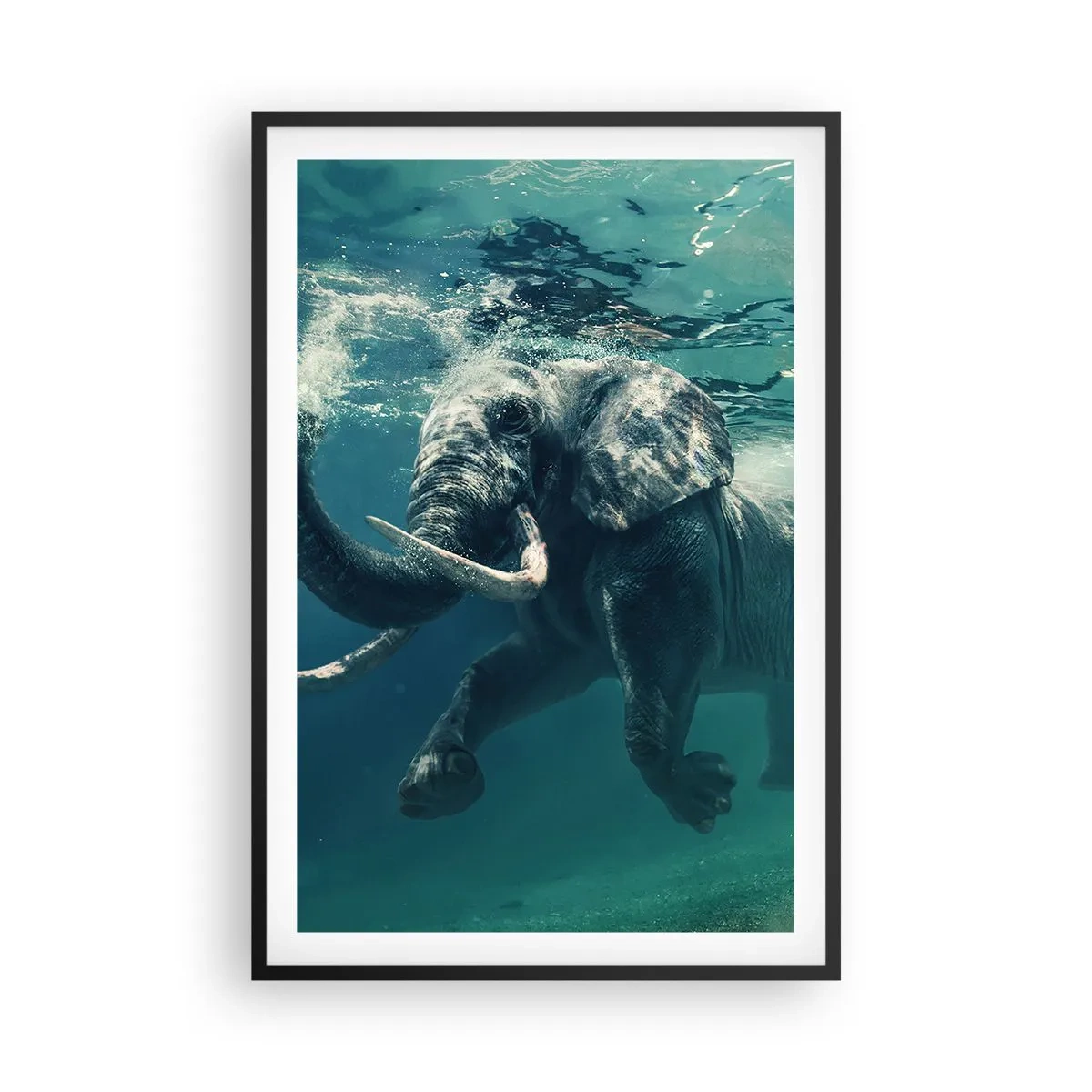 Affisch i svart ram - Alla tycker om att simma - 61x91 cm