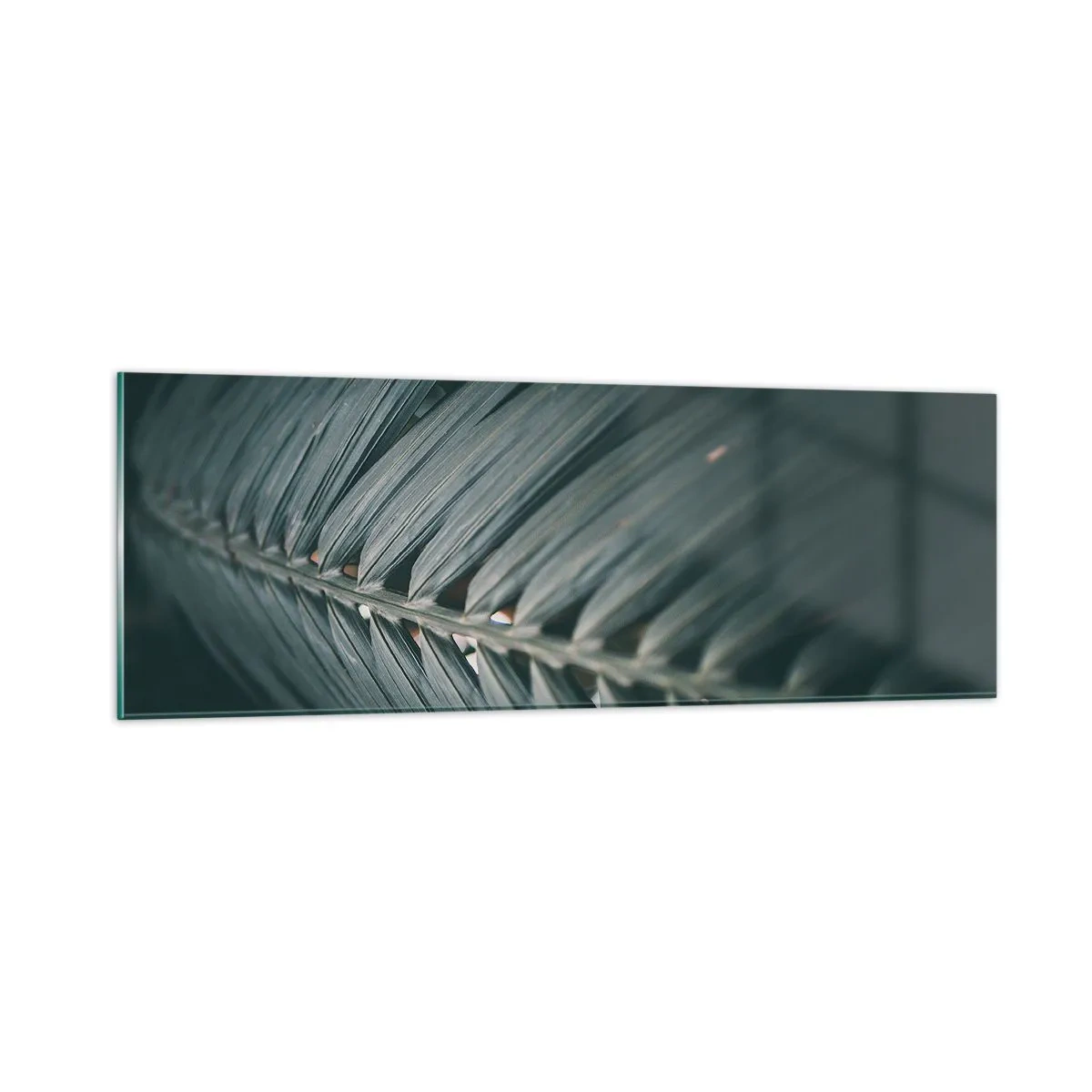 Glastavla - Bild på glas - Naturens precision - 90x30 cm