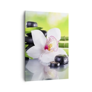 Canvastavla - Bild på duk - Sval fräschhet - 70x100 cm