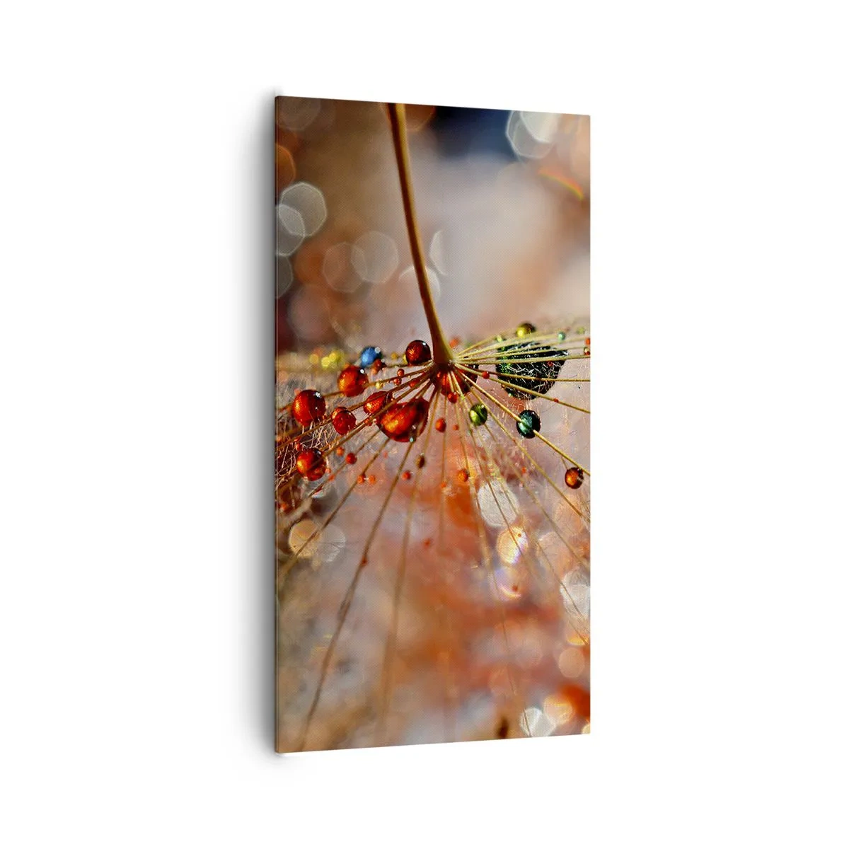 Canvastavla - Bild på duk - Trädda på spindelnät - 65x120 cm