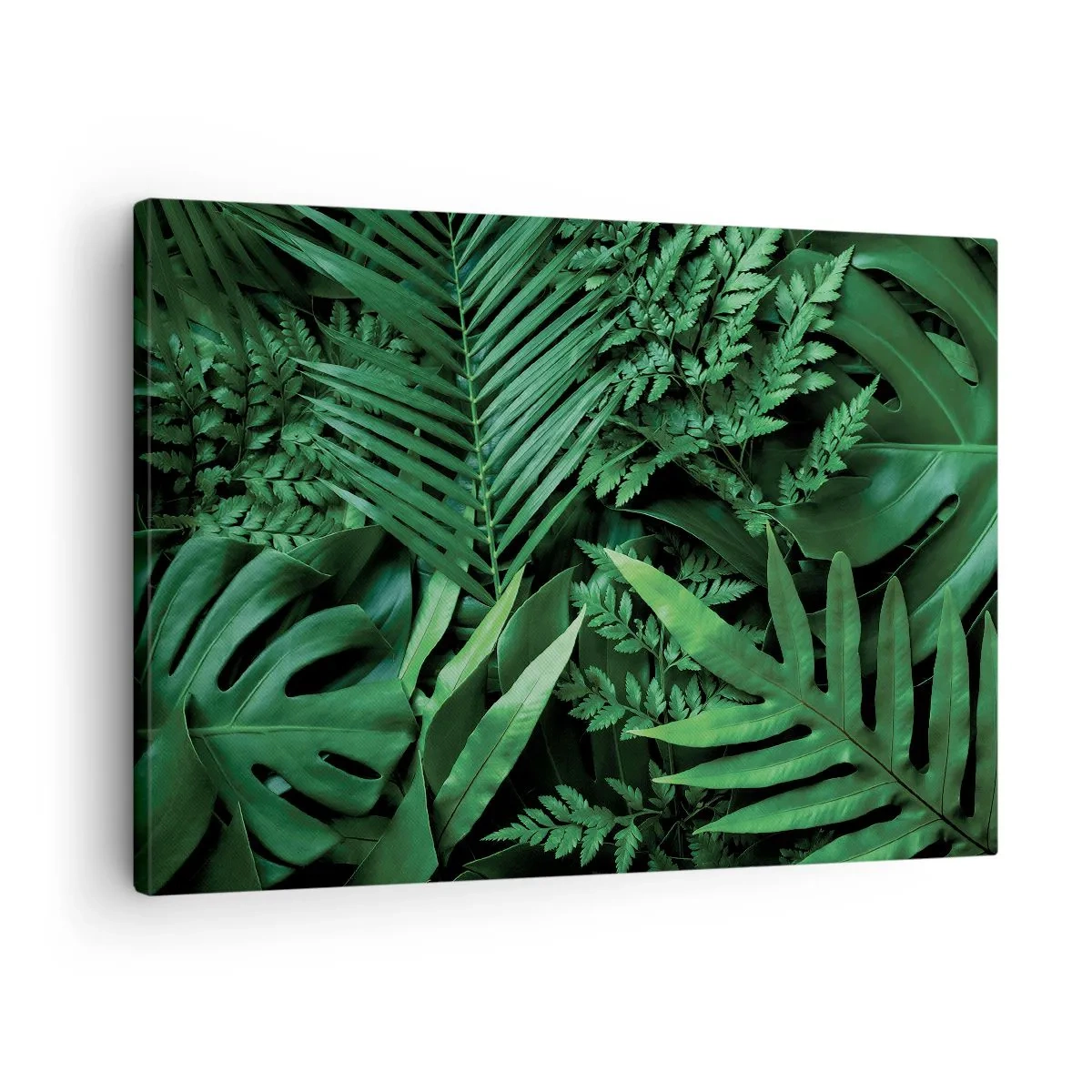 Canvastavla - Bild på duk - Gröna tropiska blad i en tät och naturlig komposition - 70x50cm - Omgärdade av grönskan - Modern väggdekoration för vardagsrum och sovrum ARTTOR