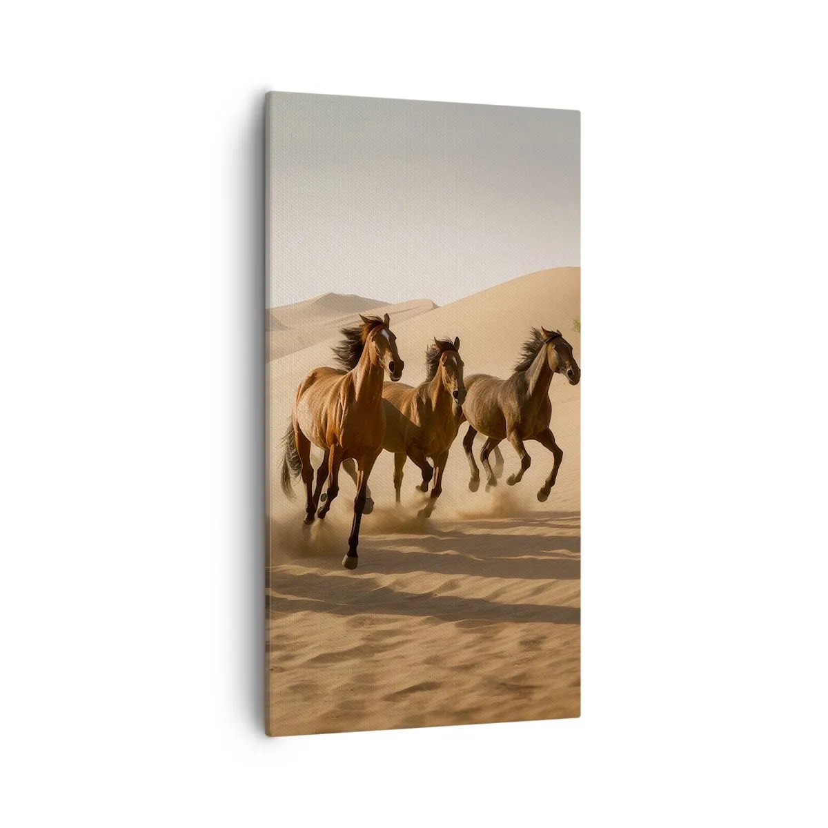 Canvastavla - Bild på duk - Fri som vinden - 55x100 cm