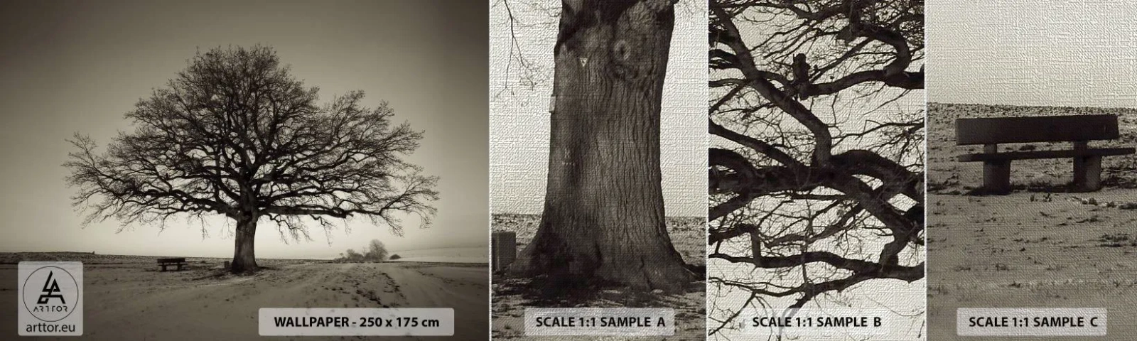 Provbit av fototapet Premium Canvas - Härifrån till evighet - Landskap, Träd, Natur - 100x30 cm