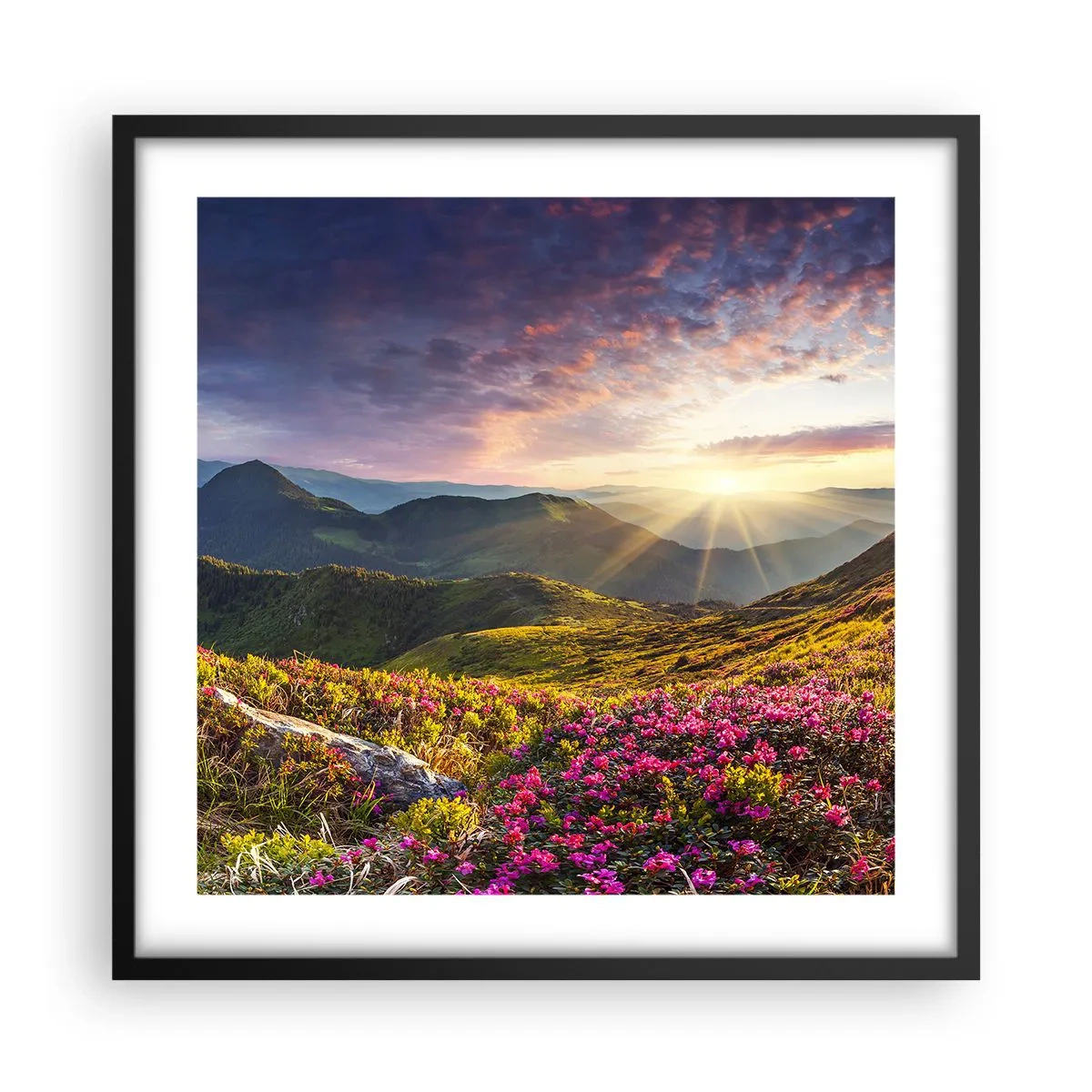 Affisch i svart ram - Fjällmorgonens fräschhet - 50x50 cm