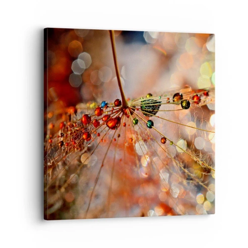 Canvastavla - Bild på duk - Trädda på spindelnät - 30x30 cm