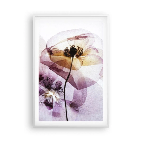 Affisch i vit ram - Blommornas transparenta kroppar - 61x91 cm