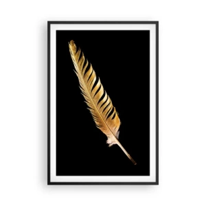 Affisch i svart ram - Fjäder... - 61x91 cm