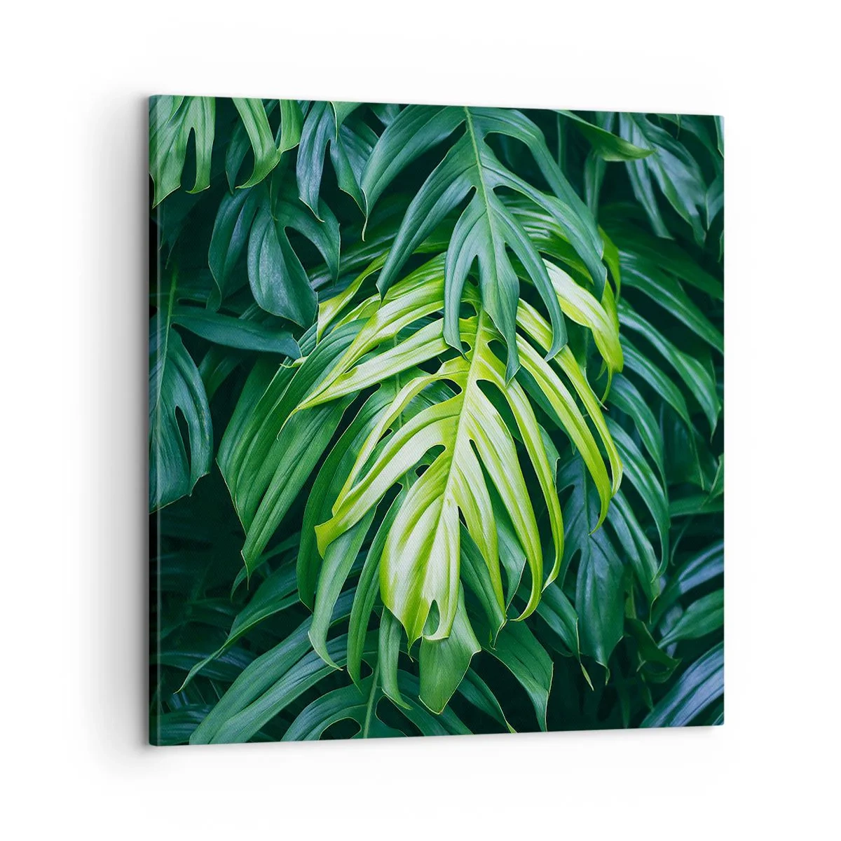 Canvastavla - Bild på duk - Doppa sig i fräschheten - 60x60 cm