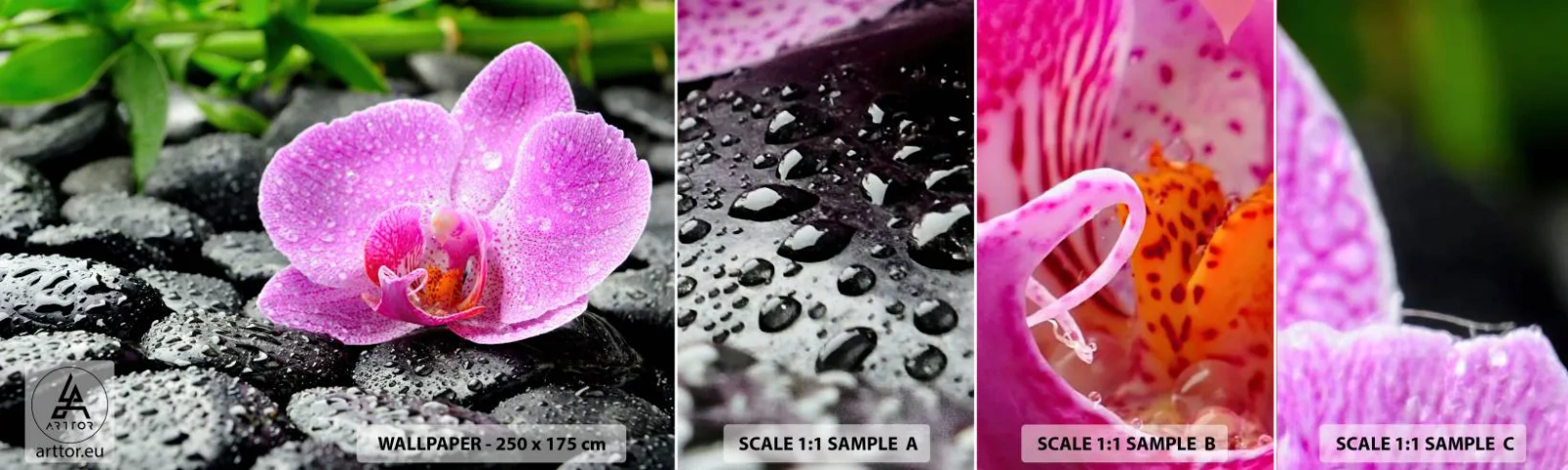 Fototapet Prov Standard Eco - Som öppet hjärta - Blommor, Orkide, Orkide - 100x30 cm