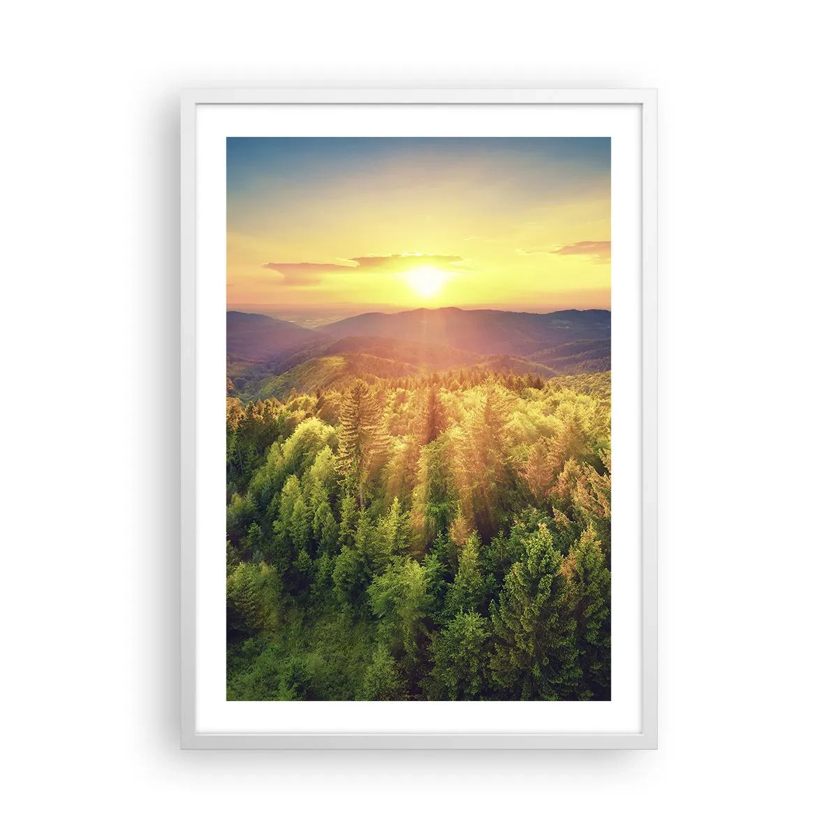 Affisch i vit ram - Trädtoppar och bergstoppar - 50x70 cm
