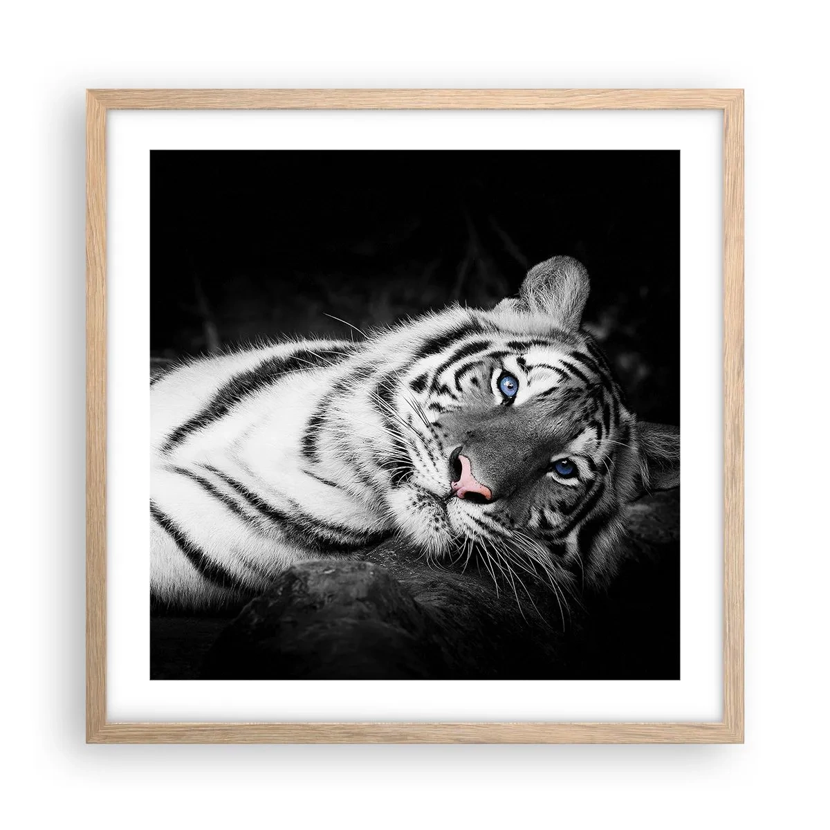 Affisch i ram av ljusek - Vildhet och lugn - 50x50 cm