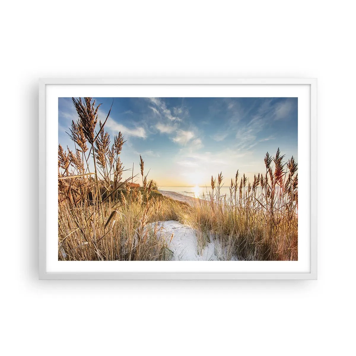 Affisch i vit ram - Nordlig strand - 70x50 cm