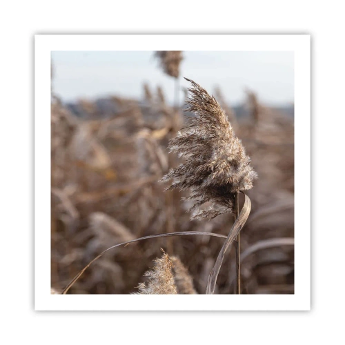 Affisch - Dags att flyga bort med vinden - 60x60 cm