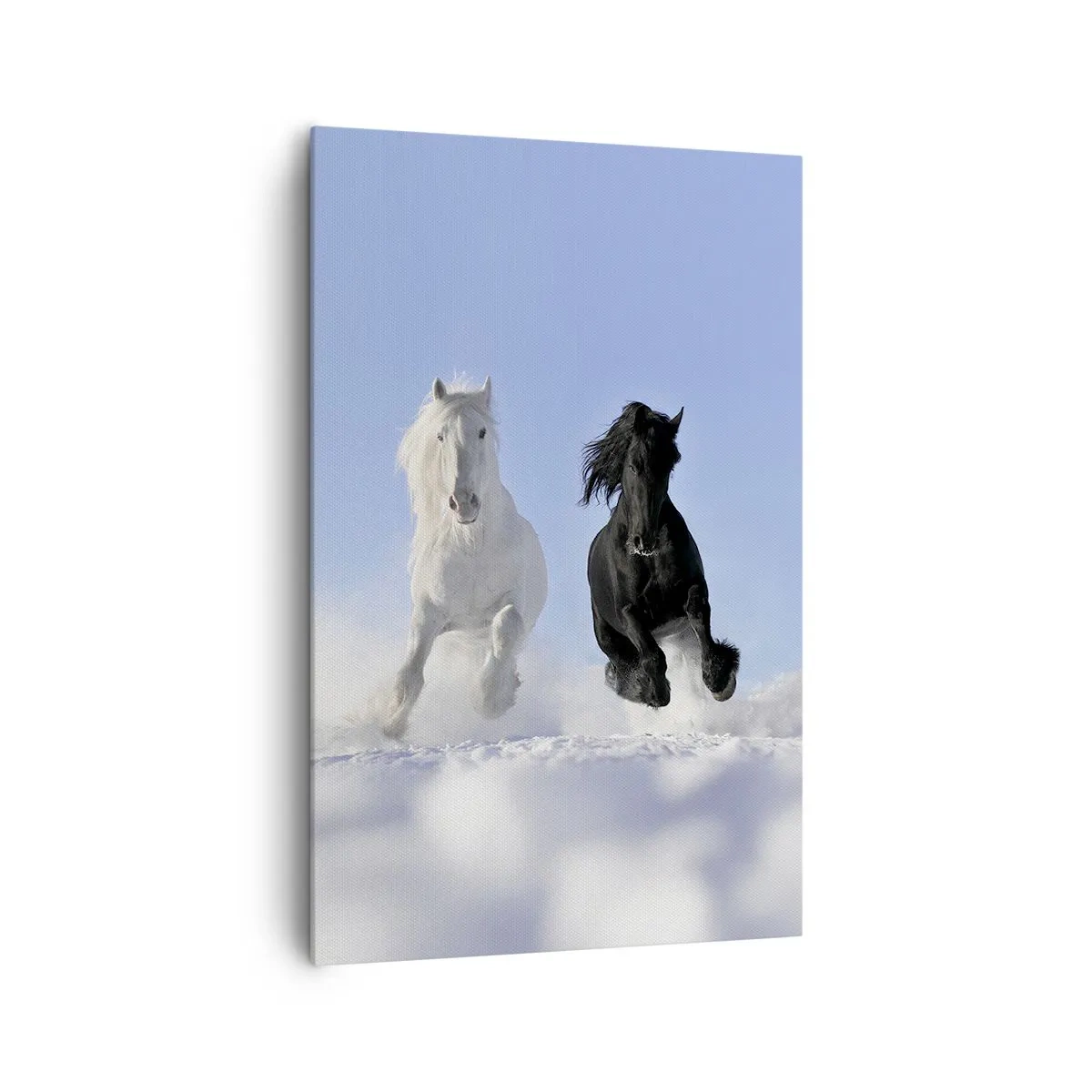 Canvastavla - Bild på duk - Svart-vit galopp - 80x120 cm