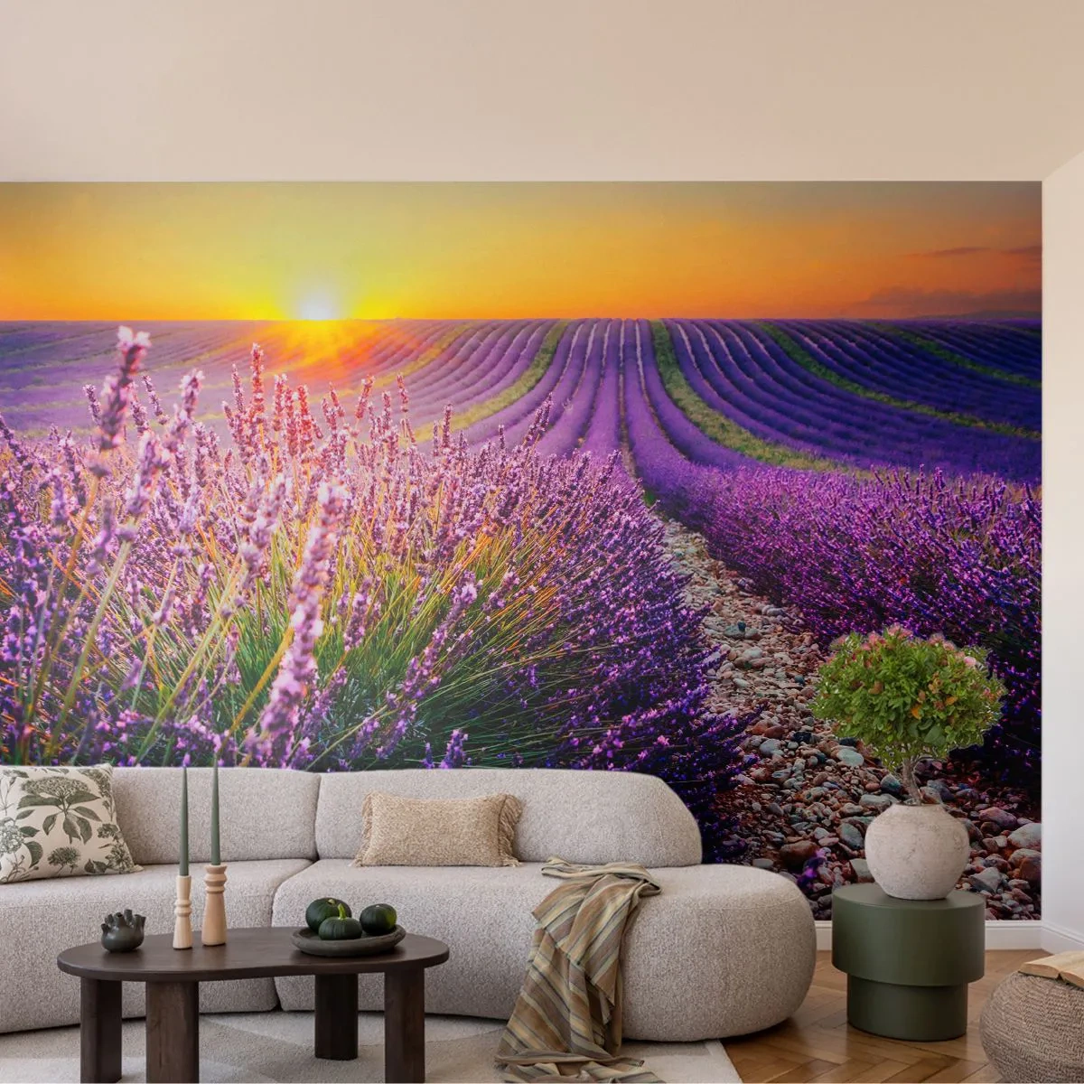 Fototapet Premium Canvas - Doftande åkermark - Landskap, Lavendelfält, Provence - 400x280 cm