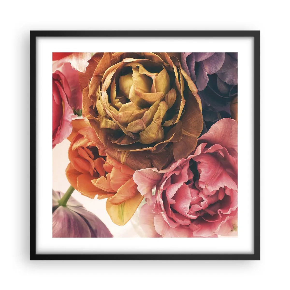 Affisch i svart ram - Livets högtid - 50x50 cm