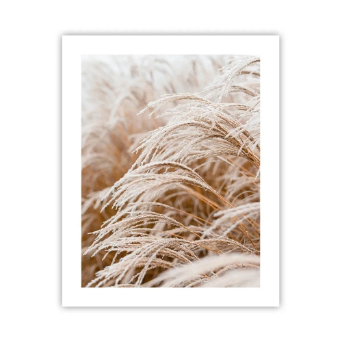 Affisch - Buga för höstsolen - 40x50 cm