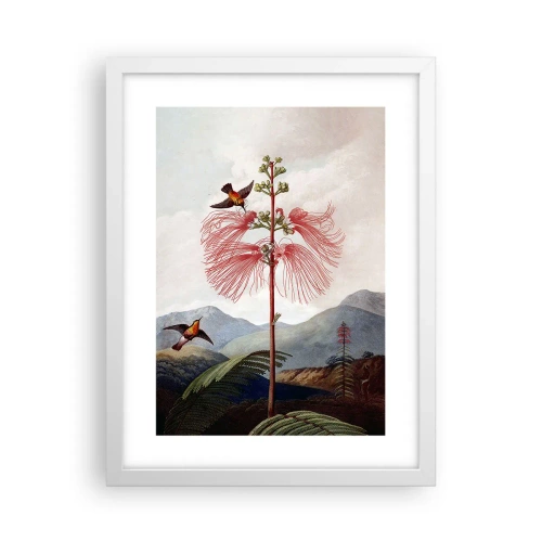 Affisch i vit ram - I ett tropiskt paradis - 30x40 cm