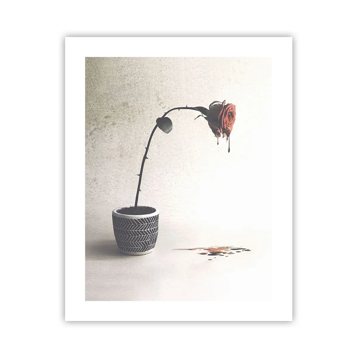 Affisch - Rosa dolorosa - 40x50 cm