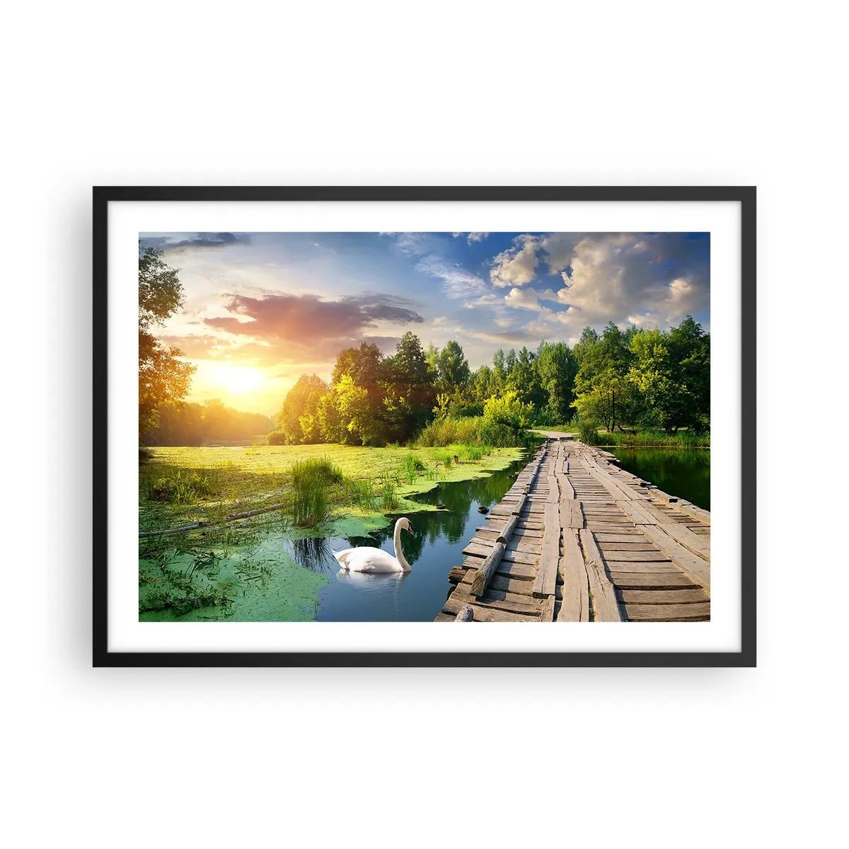Affisch i svart ram - Sommar, sommar överallt - 70x50 cm