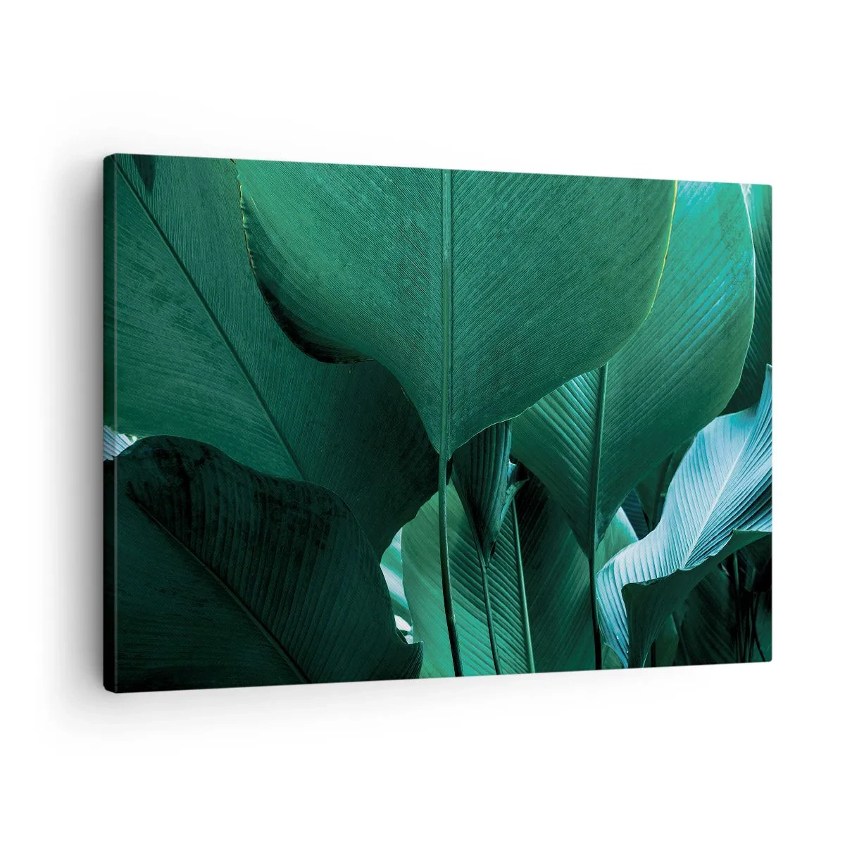 Canvastavla - Bild på duk - Gröna blad i en minimalistisk komposition - 70x50cm - Vända mot ljuset - Modern väggdekoration för vardagsrum och sovrum ARTTOR
