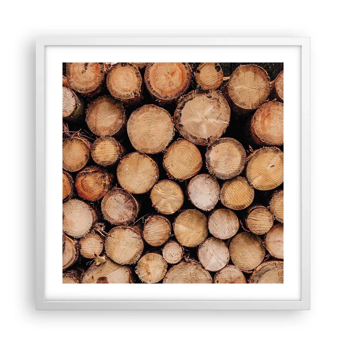 Affisch i vit ram - Ny början - 50x50 cm