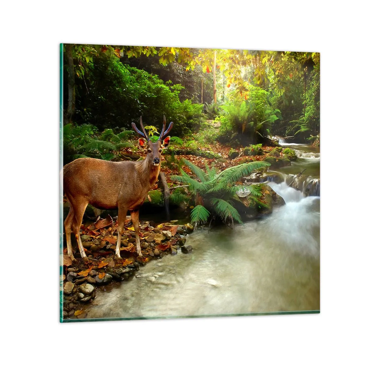 Glastavla - Bild på glas - Välkommen till min värld - 50x50 cm