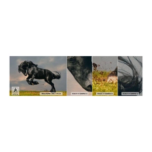 Provbit av fototapet Premium Canvas - Vacker och fri - Djur, Häst, Landskap - 100x30 cm