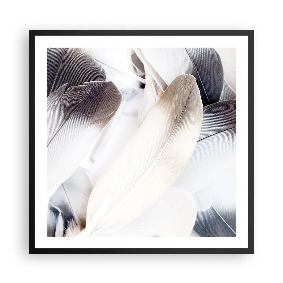 Affisch i svart ram - Nästan änglalik - 60x60 cm