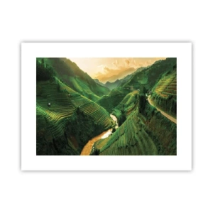 Affisch - Vietnamesisk dal - 40x30 cm