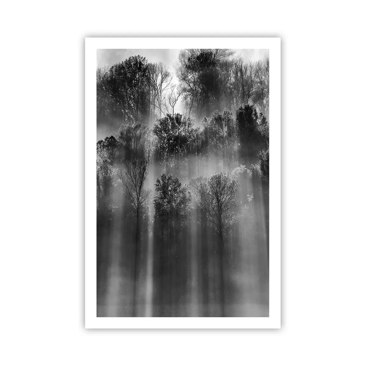 Affisch - I ljusstrålar - 61x91 cm