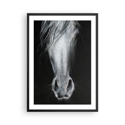 Affisch i svart ram - Närbild av ett hästansikte i svartvitt - 50x70cm - Förförisk blick - Modern väggdekoration för vardagsrum och sovrum ARTTOR