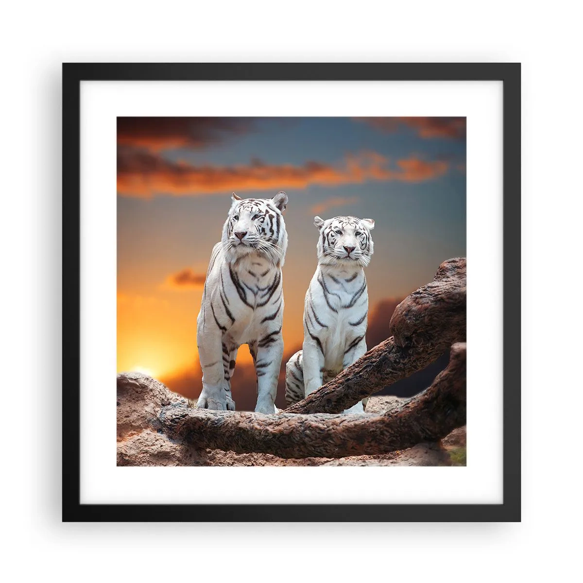 Affisch i svart ram - Helt som i Narnia - 40x40 cm