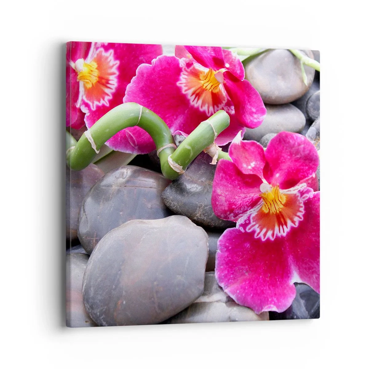 Canvastavla - Bild på duk - Kyla och glöd - 40x40 cm