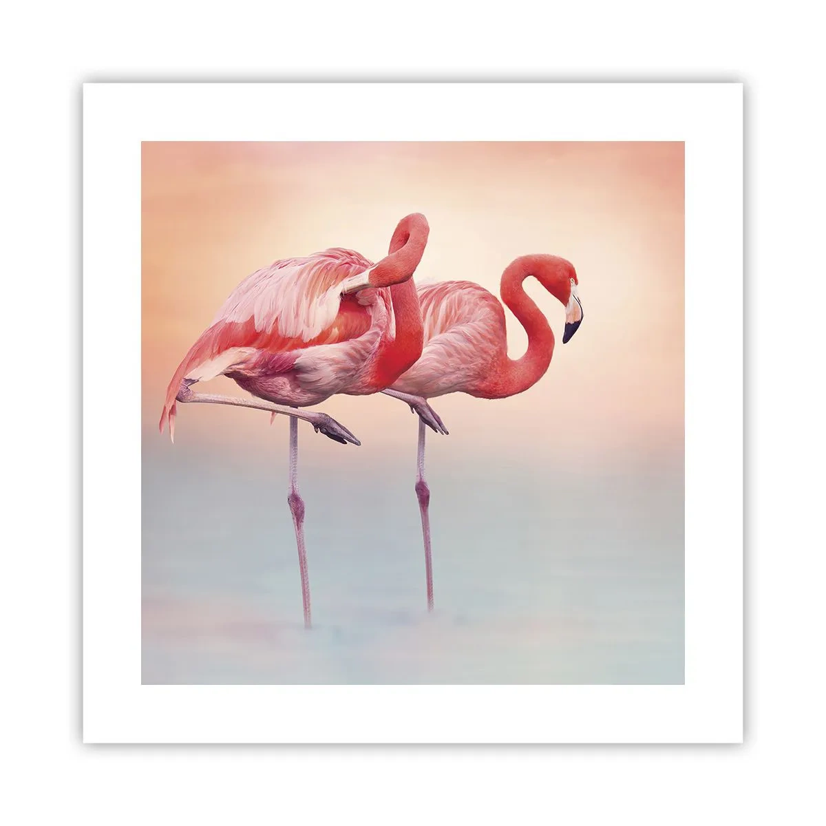 Affisch - I solnedgångens färg - 40x40 cm