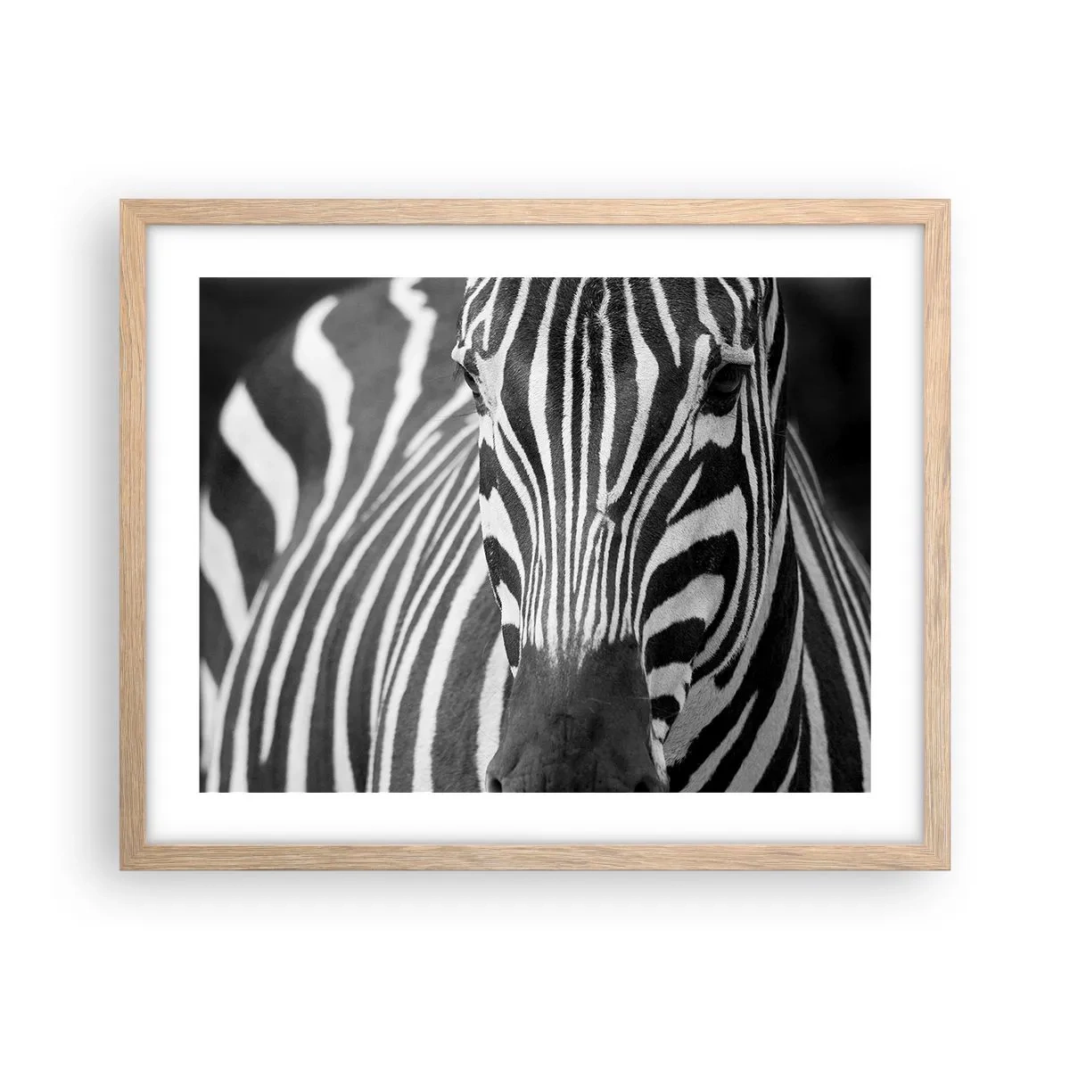 Affisch i ram av ljusek - Världen är svart-vit - 50x40 cm