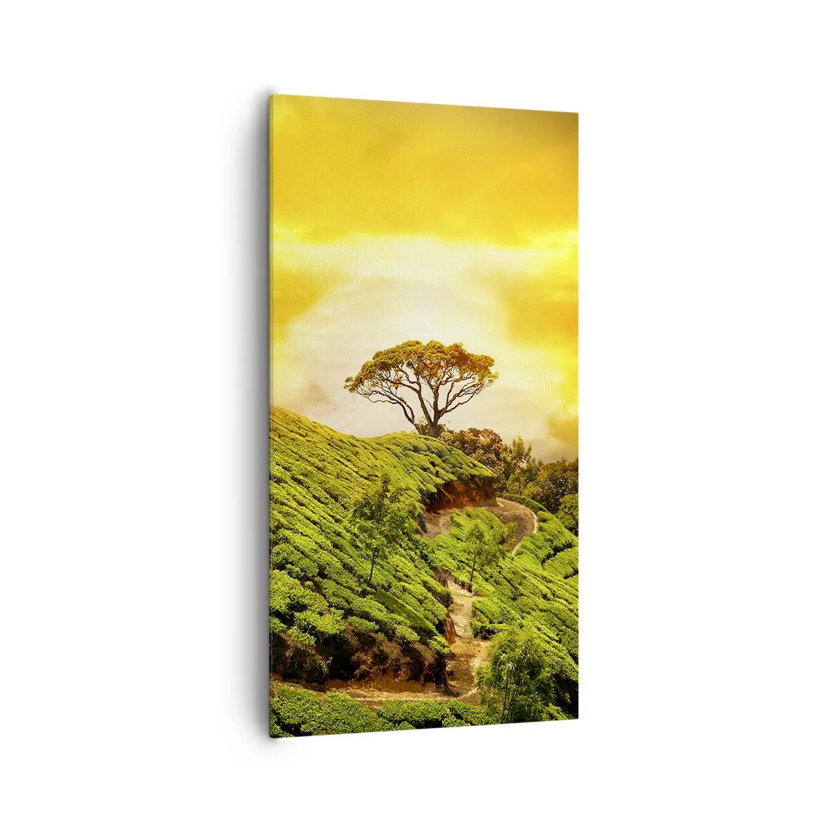 Canvastavla - Bild på duk - Genom slingrande stig, grön backe - 65x120 cm