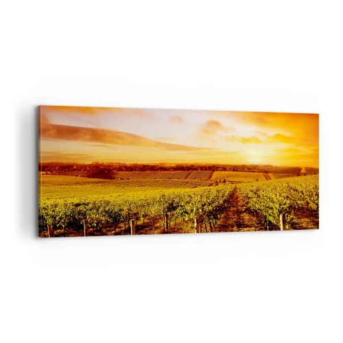 Canvastavla - Bild på duk - Fina druvor med en gnutta sol - 100x40 cm