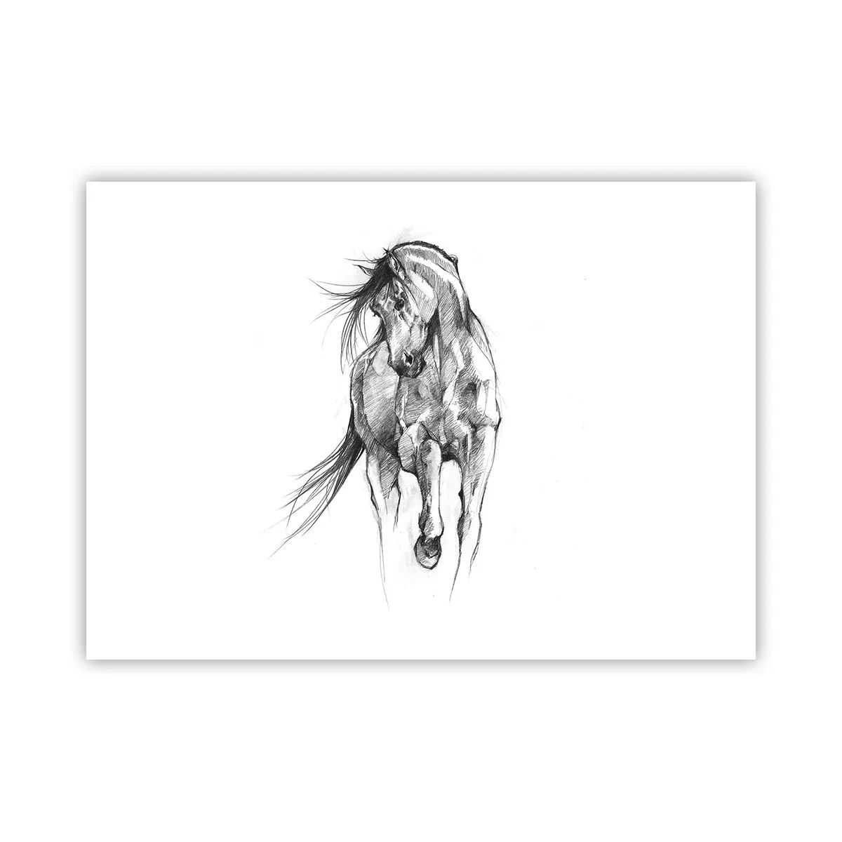 Affisch - Elegant trav - 70x50 cm