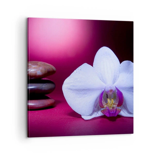 Canvastavla - Bild på duk - En fräschhetsstudie i violett - 60x60 cm