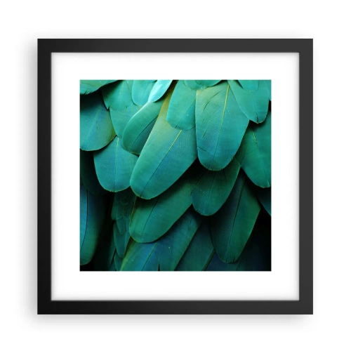 Affisch i svart ram - Precision av papegojans natur - 30x30 cm