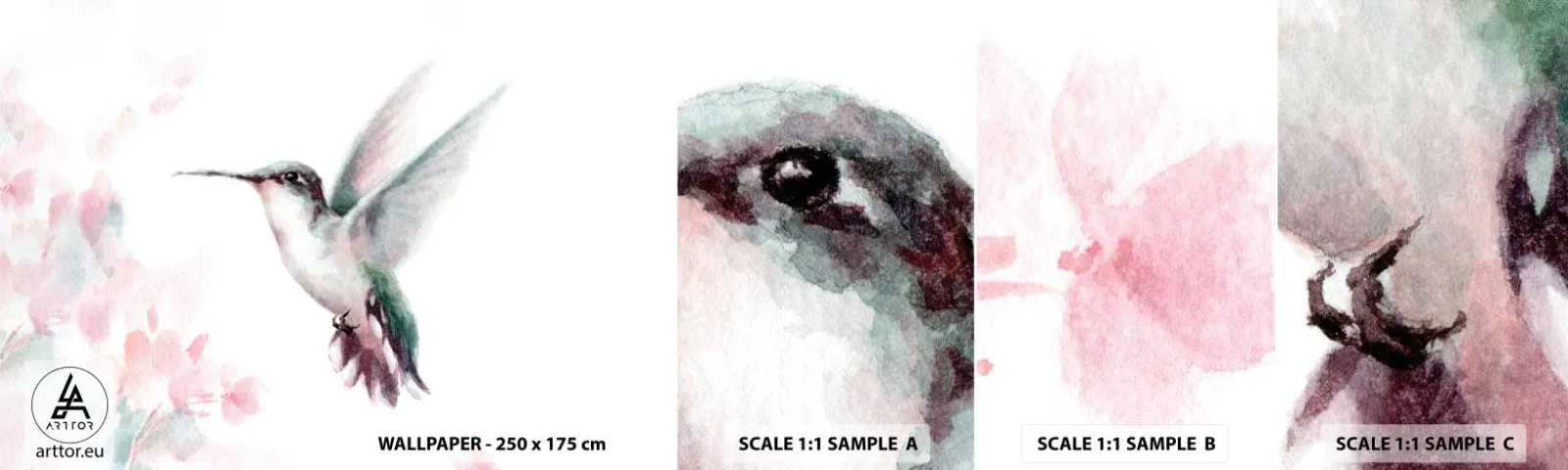 Provbit av självhäftande fototapet Deluxe Sticker - Fångad flaxande - Kolibri, Fågel, Bit - 100x30 cm