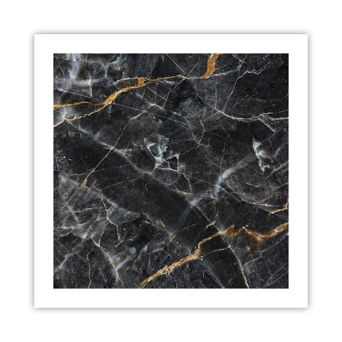Affisch - Stenens interna liv - 50x50 cm
