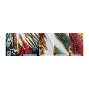 Fototapet Prov Standard Eco - flyghemligheter - Abstraktion, Bit, Boho - 100x30 cm